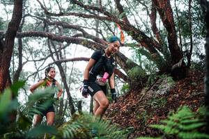 BIB: 
                            <button type="button" onclick="openModal(26296190)" class="btn btn-primary btn-sm float-right btn-popup" data-toggle="modal" data-target=".modal-high-quality">
                        <i class="fas fa-shopping-cart"></i> Add to Cart
                    </button>
                                            <button type="button" onclick="isThisMe(26296190, true)" class="btn btn-success btn-sm float-right btn-popup btn-isme hidden" data-toggle="tooltip" data-placement="bottom" title="นี่คือรูปของคุณใช่ไหม คลิกที่นี่เพื่อเอาเข้าอัลบั้ม">
                        <i class="fas fa-plus"></i> Add to album
                    </button>
                    <button type="button" onclick="isThisMe(26296190, false)" class="btn btn-warning btn-sm float-right btn-popup btn-isnotme hidden">
                        <i class="fas fa-ban"></i> Remove from album
                    </button>